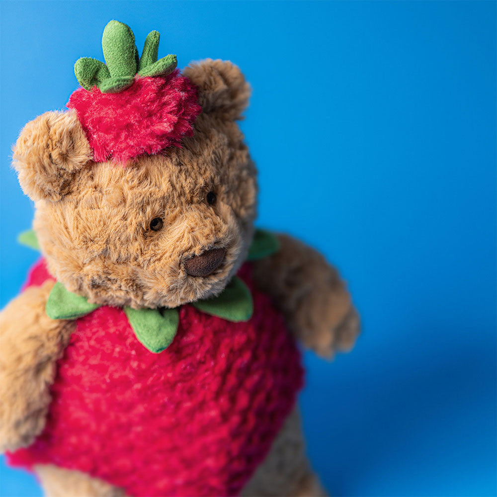 Bartholomew Bear Strawberry Outfit