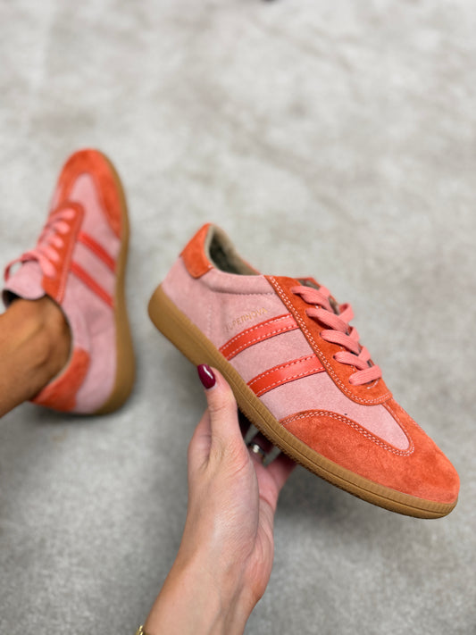 Sixty Four Coral Reef Trainers