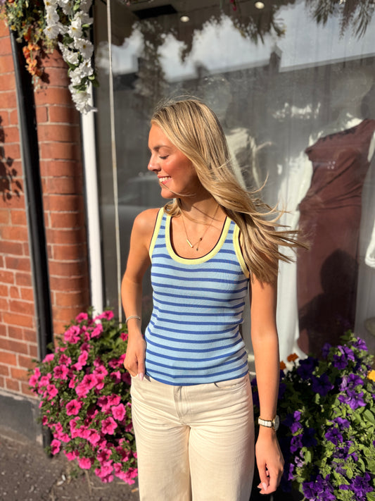 Fine Knit Stripe Vest Blue/Yellow