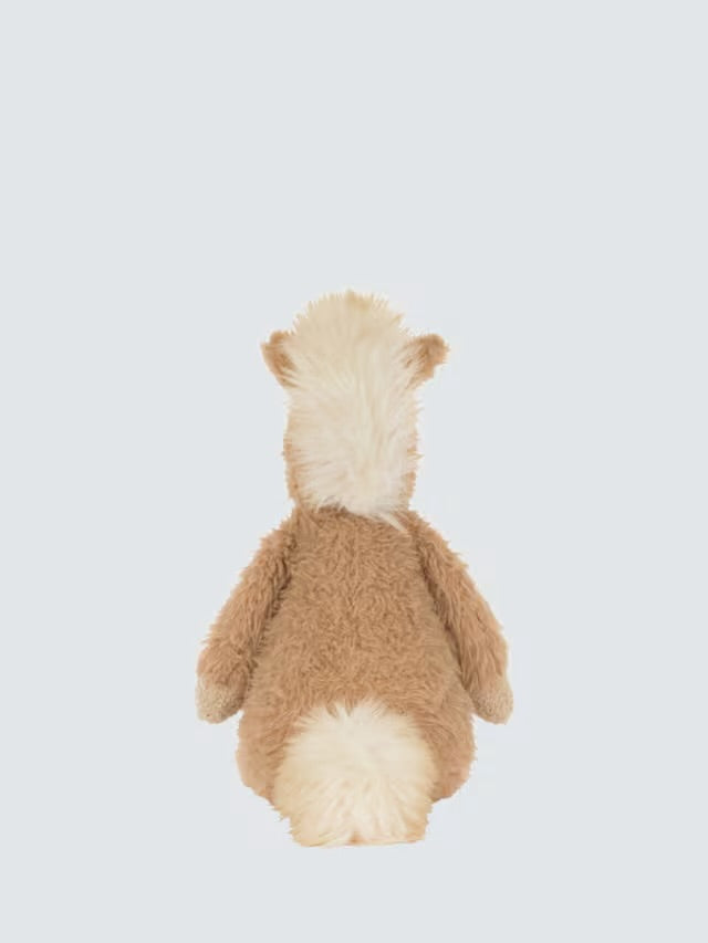 Canterneigh Pony