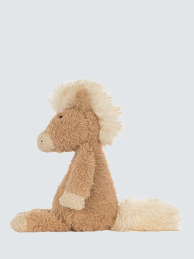 Canterneigh Pony