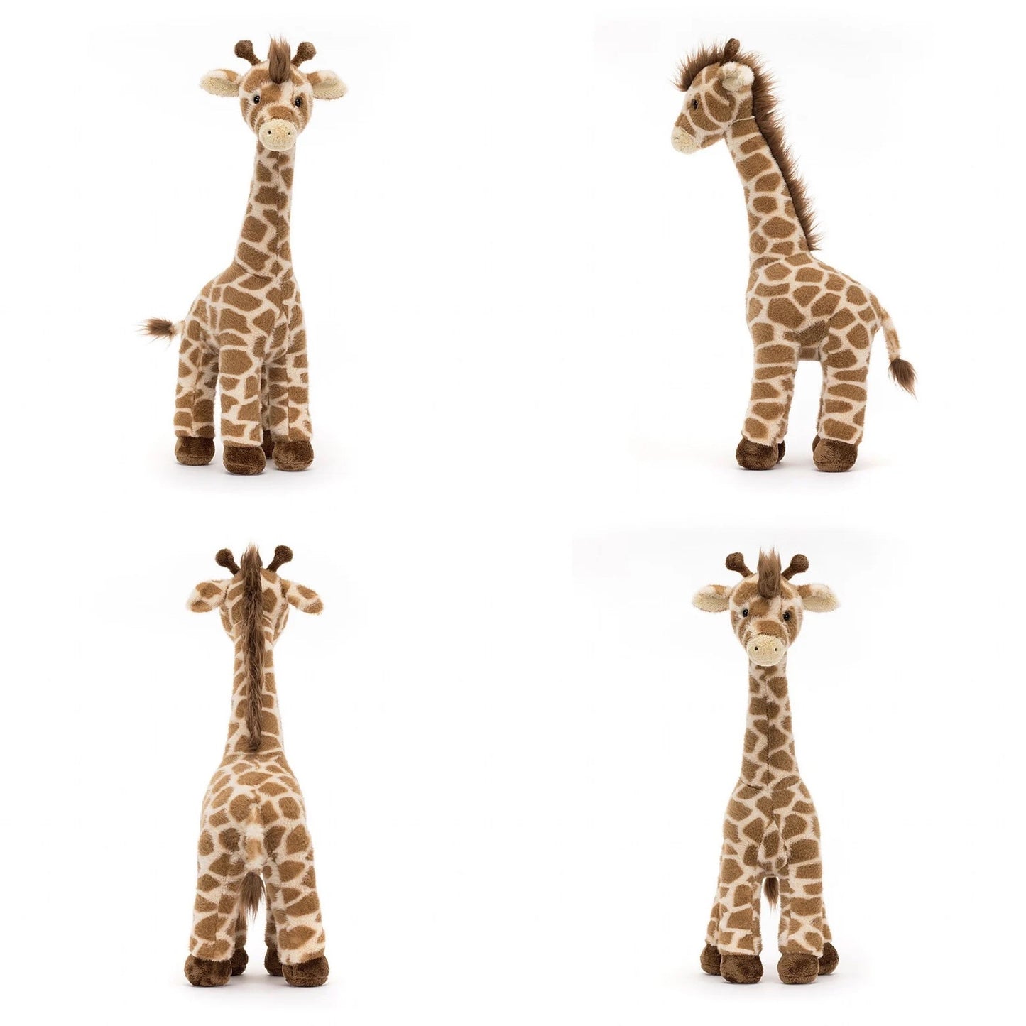 Dara Giraffe