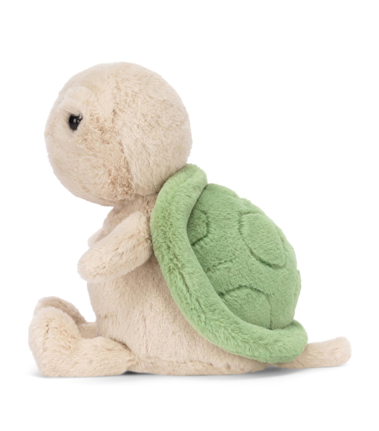 Thimble Turtle